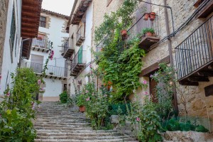 Entorno y Actividades en Valderrobres, Matarranya